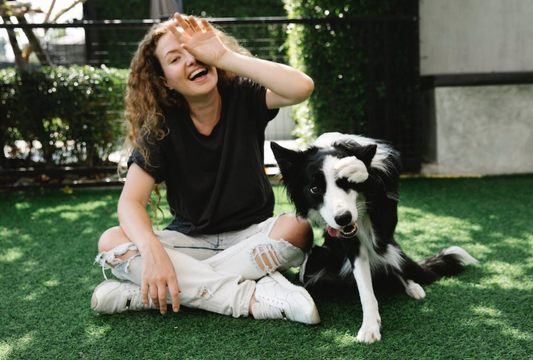 Mastering the Art of Pet Pampering with SilMari's Top Tips
